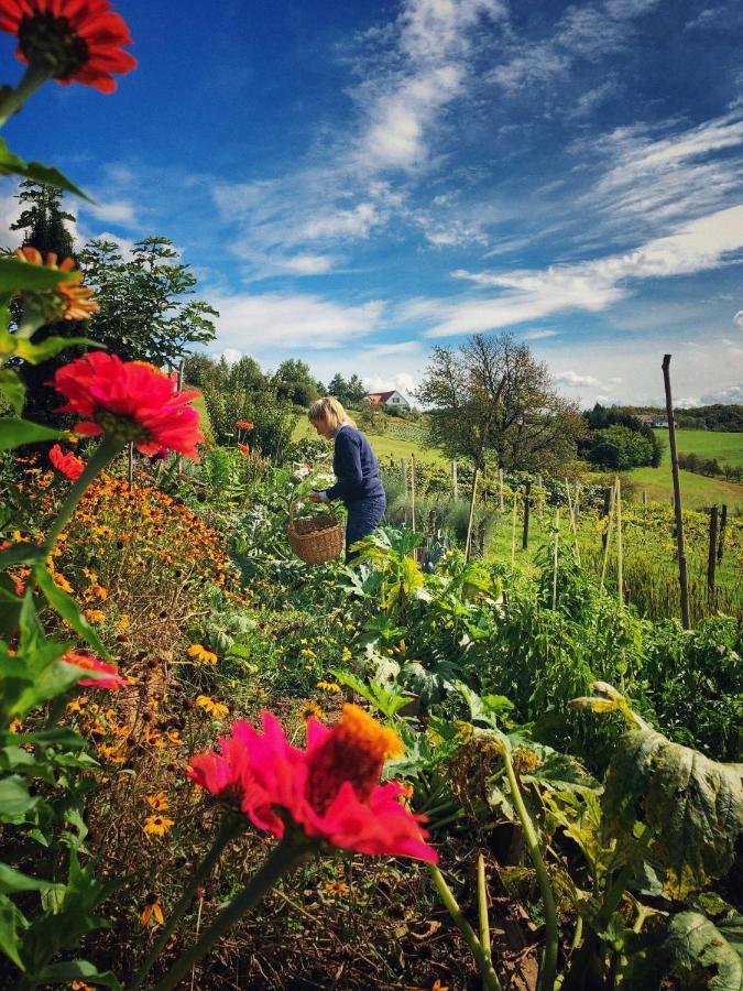 Landhaus Schaller Im Suedburgenland Maria Bild エクステリア 写真