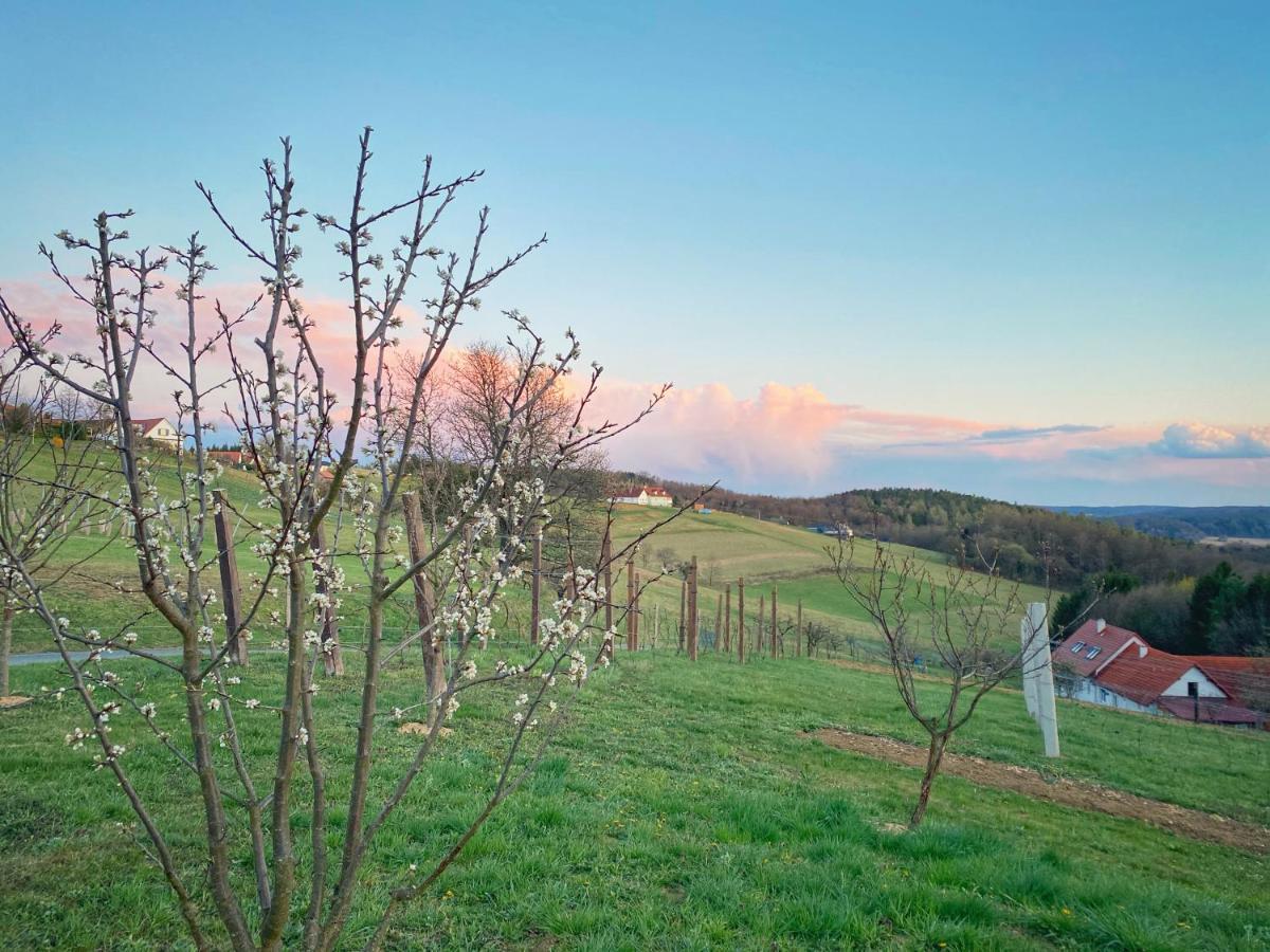Landhaus Schaller Im Suedburgenland Maria Bild エクステリア 写真